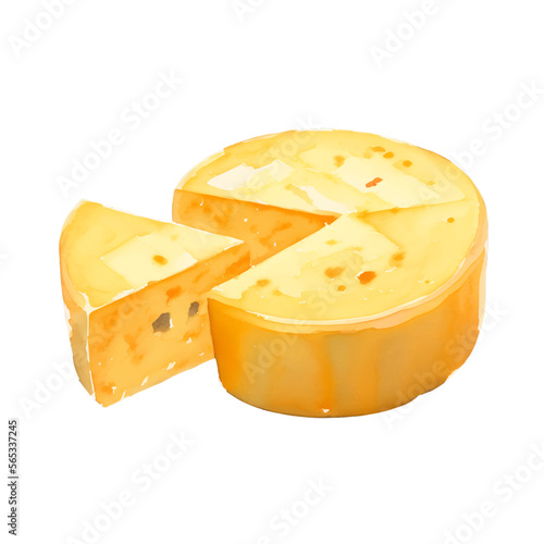 cheese wheel digital drawing with watercolor style illustration