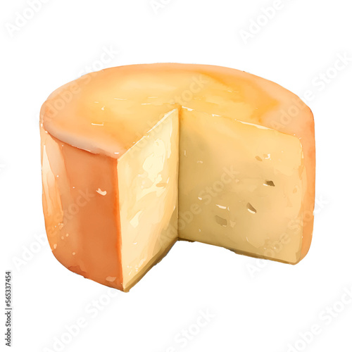 cheese wheel digital drawing with watercolor style illustration
