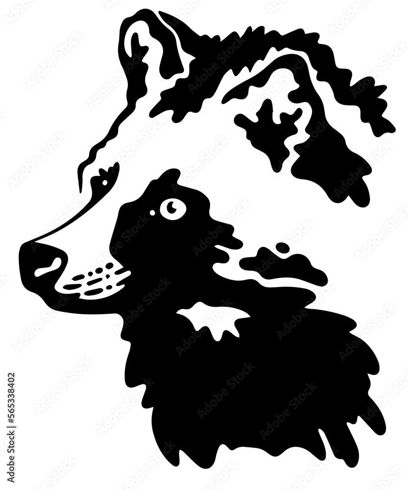 tanuki raccoon dog head vector illustration isolated on white Stock