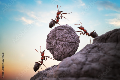 Ants are pushing heavy boulder up on hill. Teamwork concept. 3D rendered illustration. photo