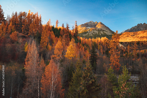 A panoramic view of the High Tatras in autumn, with the Gerlach peak as the focal point of a breathtaking landscape