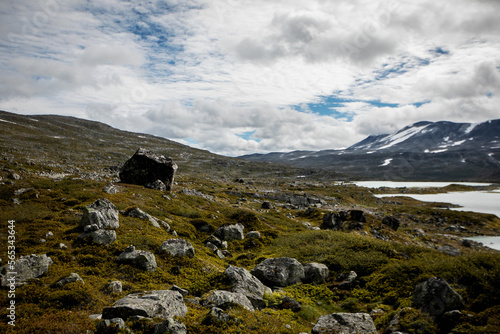 Landschaft