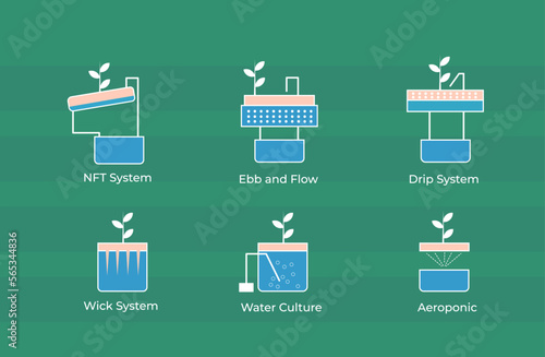 hydroponic types include NFT System, ebb and flow, drip system, wick system, water culture and aerophonic