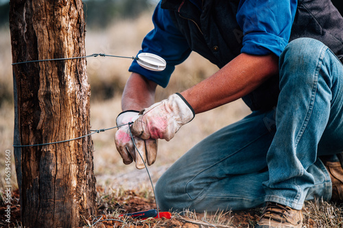 Farmer tying off electric wire fence