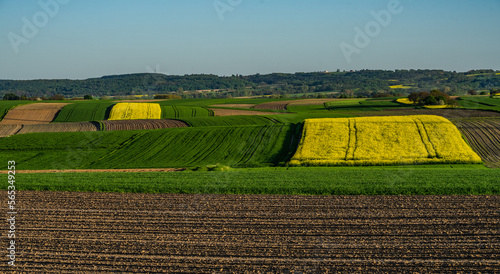 Spring view of an urbanized farming region