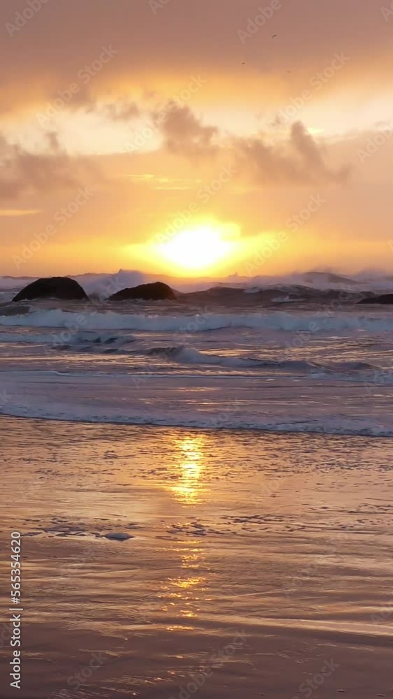Vertical video of beautiful west coast sunset rocky beach in Bandon Oregon. 