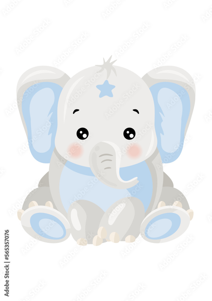 Little baby boy elephant isolated