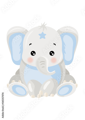 Little baby boy elephant isolated