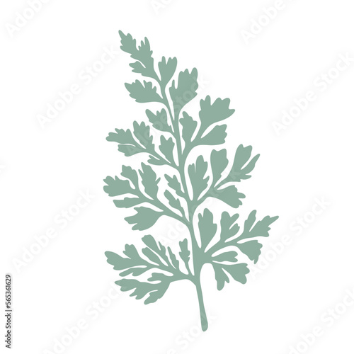 Adiantum capillus veneris list. Vector green fern photo