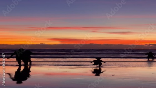 Wallpaper Mural sunset on the beach Torontodigital.ca