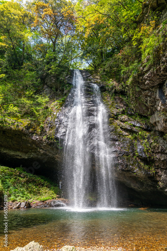 Fototapeta Naklejka Na Ścianę i Meble -  日本の滝の写真。