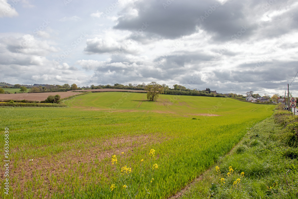 Agricultural landscape in the UK.