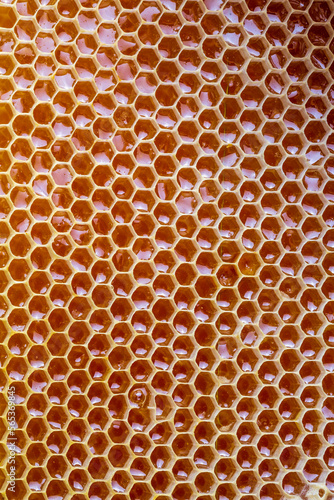 Natural comb honey, Turkish Karakovan Honey.