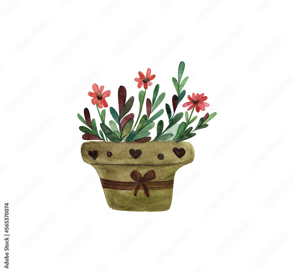 Indoor flower in a pot with bows, home plant with red flowers, watercolor drawing on an isolated white background