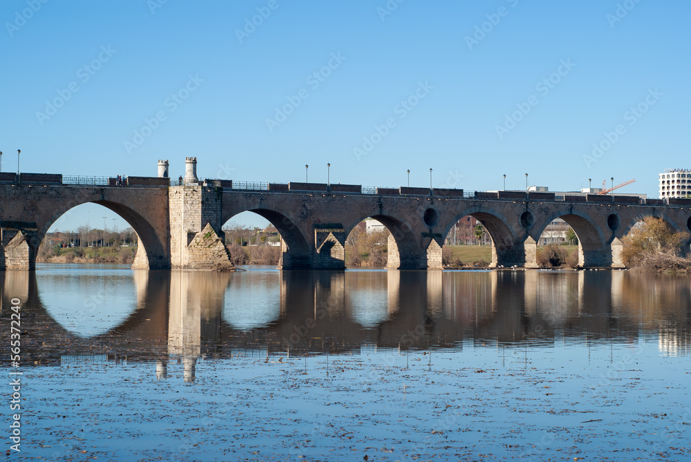 Fototapeta premium Puente viejo de la ciudad de Badajoz.