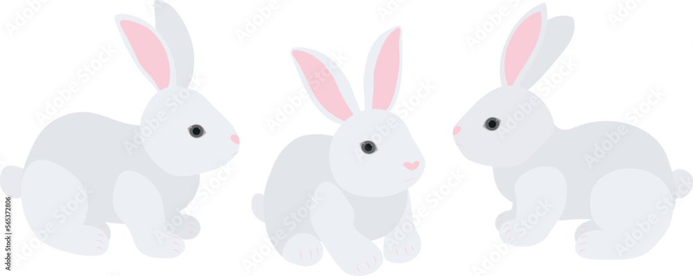 Obraz premium Set cute white rabbit bunny vector illustration