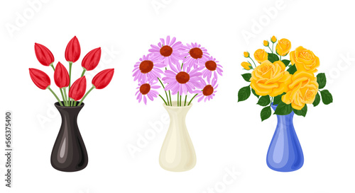 Bouquets of beautiful flowers set. Red tulips, yellow rose flowers and pink echinacea in vases isolated on white background. Vector illustration in cartoon flat style.