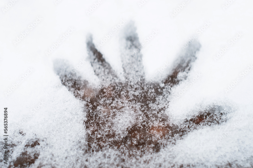 Fototapeta premium Five fingers hand imprint on fresh winter snow in Novi Sad Serbia