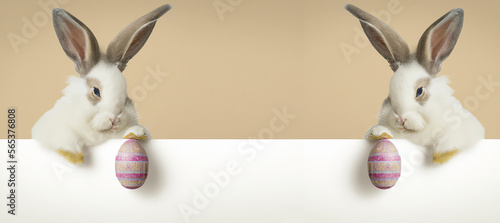 illustrazione generata con intelligenza artificiale   di coniglietti pasquali simmetrici con in mano un biglietto  vuoto senza testo e un uovo di pasqua colora photo