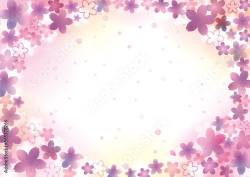 満開の桜　パープル