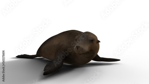 Seal 3D