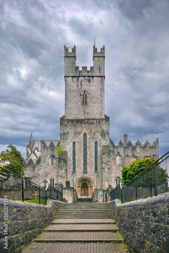 St Mary's Cathedral, Limerick, Ireland
