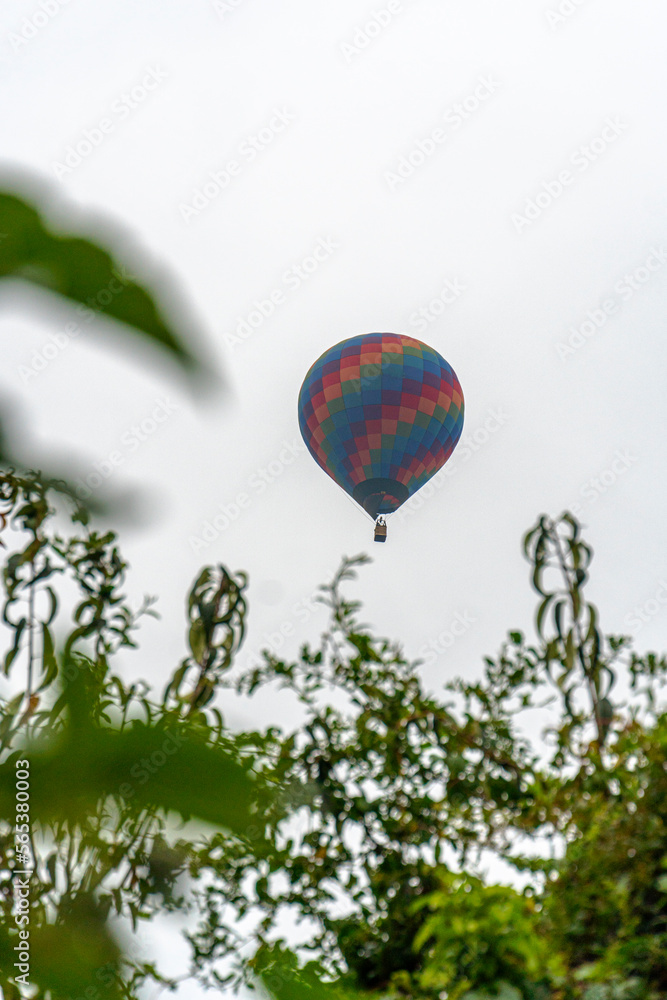 Naklejka premium hot air balloon in a clear sky and between trees a balloon ride