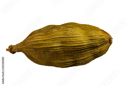 .macro shot of one pod of cardamom green isolated on a black background very close in detail