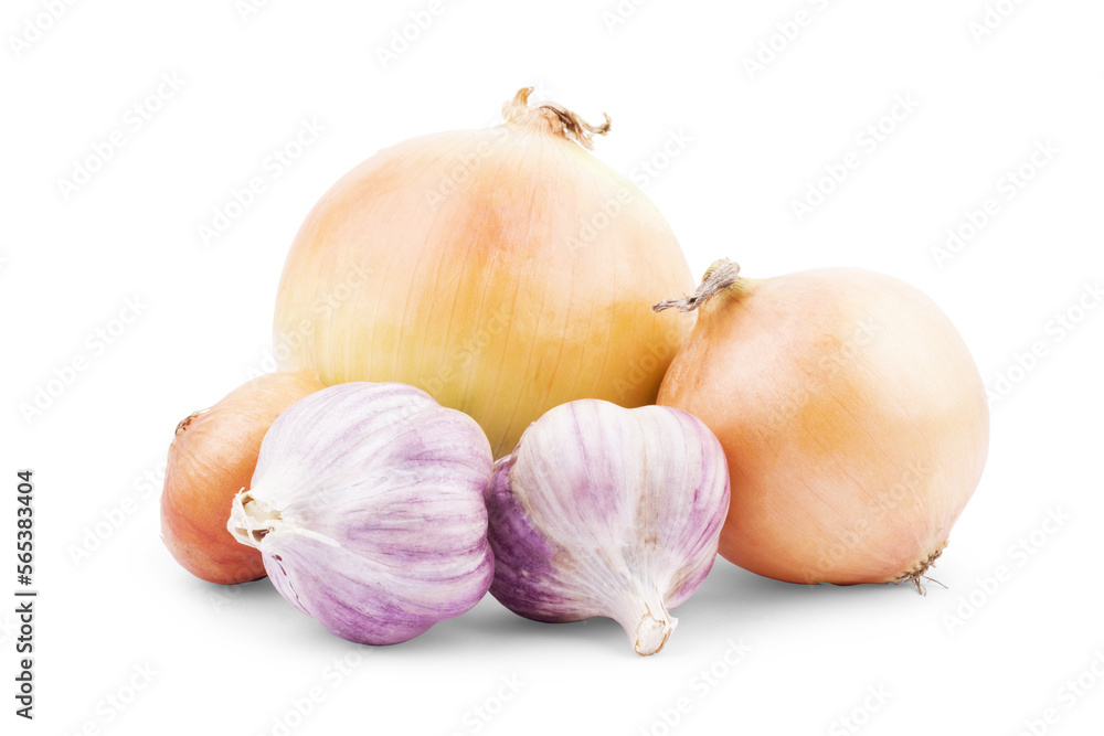 Fresh bulbs of onion on a white background Fresh bulbs of onion on a white background