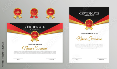 professional certificate template in premium style