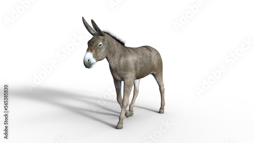 Donkey 3D © LP-Art by Lutz Peter