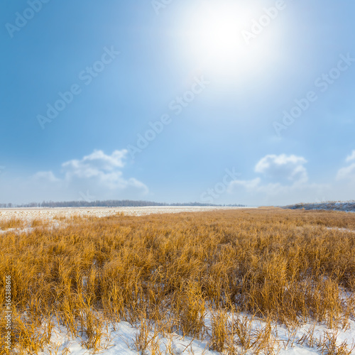snowbound prairie under a sparkle sun, winter outdoor landscape