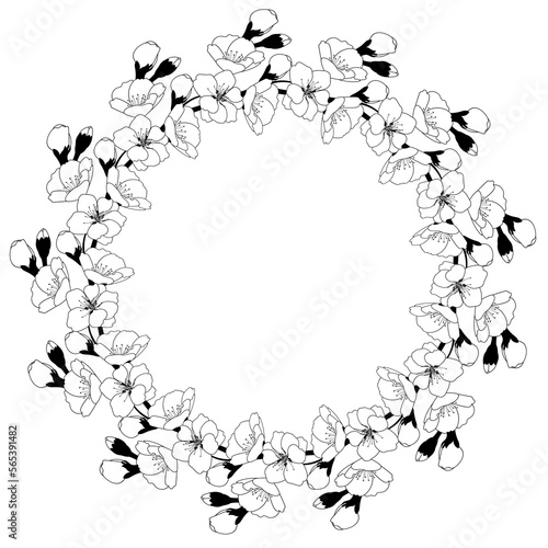Spring wreath of cherry blossoms. Round frame with space for text. Template for postcard  invitation card  banner. Vector illustration on transparent background