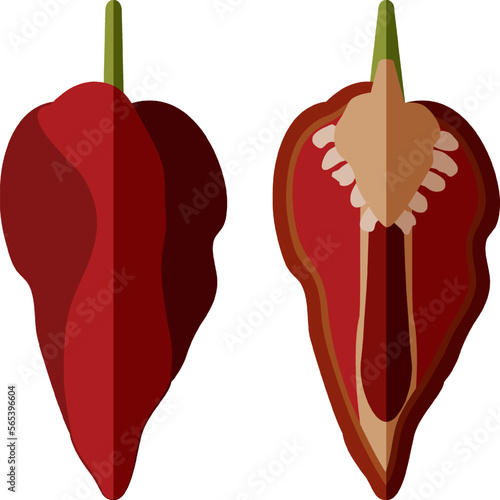 Set with whole, half of Naga Viper pepper. Capsicum chinense. Hot chili pepper.Chili pepper. Fresh, organic, raw, vegan vegetables. Flat style. Vector illustration isolated on white background.