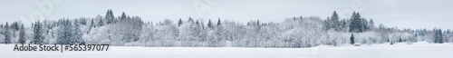 Snowy winter forest panorama landscape