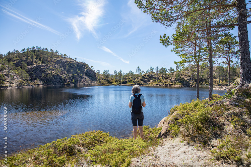 Fototapeta premium Hike to Kjerstivatnet in Velfjord, Helgeland, Norway, Europe