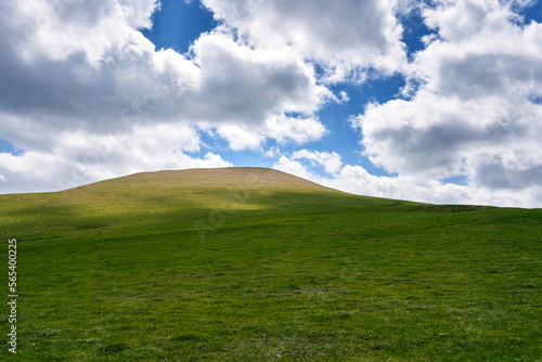 grass and blue sky