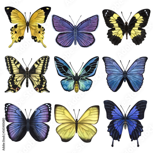 Beautiful colorful butterflies. Hand-drawn watercolor illustration isolated on white background. Can be used for card  poster  stickers  scrapbook