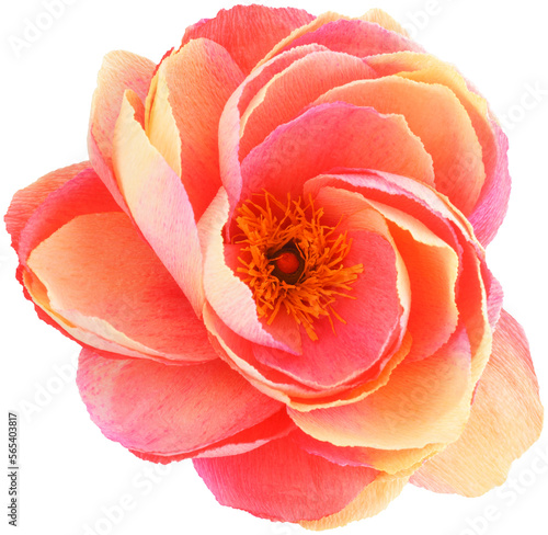 Isolated single paper flower peony made from crepe paper