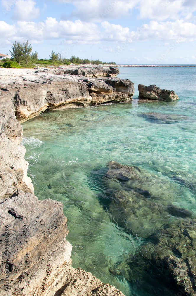 Grand Bahama Island Green Water And Eroded Shore
