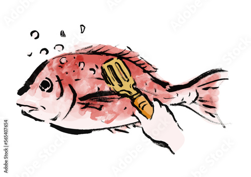 鯛の鱗を取る手描き和風イラスト