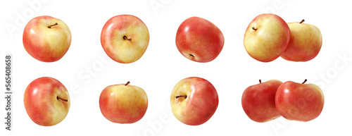 Fruit and healthy food concept. Apple isolated on  transparent background. 3d rendering illustration. PNG format