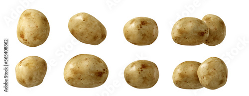 Fruit and healthy food concept. Potato isolated on  transparent background. 3d rendering illustration. PNG format