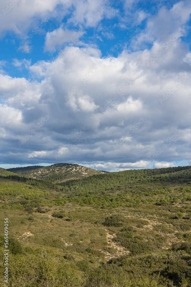 Paysage du massif de la Gardiole, sur le littoral méditerranéen à Frontignan