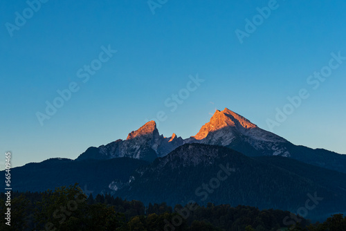 Alpengl  hen am Berg Watzmann im Berchtesgadener Land