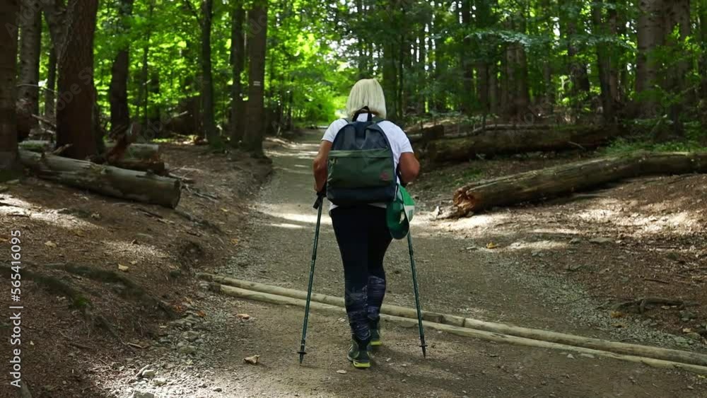 Solo tourist hiking in autumn forest. Woman with backpack and knit hat trekking in mountain. Outdoor sports activity in fall season. Solo tourist hiking in autumn forest. Woman with backpack and knit hat trekking in mountain. Outdoor sports activity in fall season.