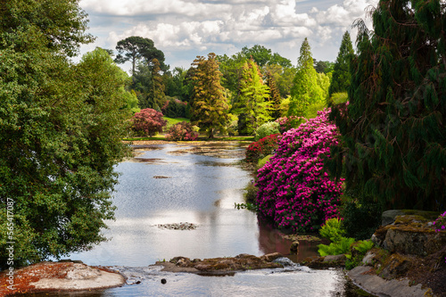 The beautiful Sheffield Park in East Sussex in England