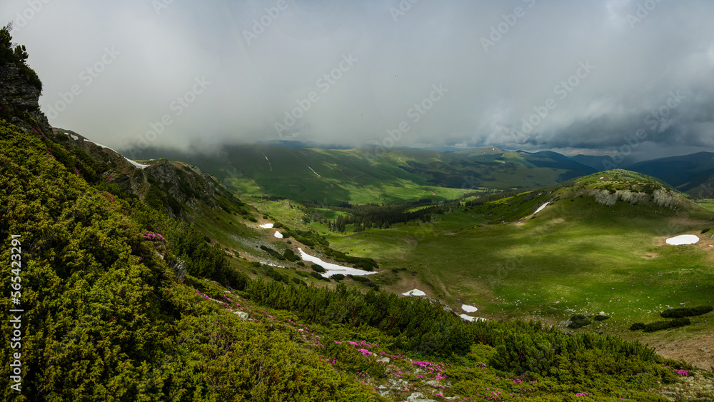 Stormy clouds and low altitude mist are covering the mountain peaks and alpine grasslands of Capatanii mountains - Carpathia. Springtime weather. Evergreen juniper bushes grow on the mountain ridges.