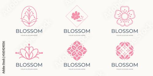 blossom flowers on white background