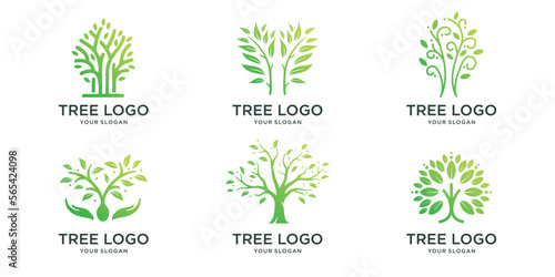 Tree logo icon set design. Garden plant natural symbols template Vector illustration.